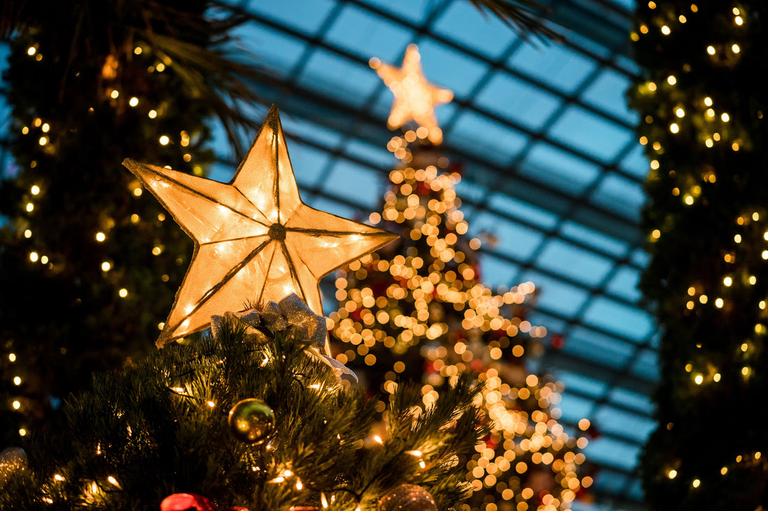 Shop Local This Holiday Season