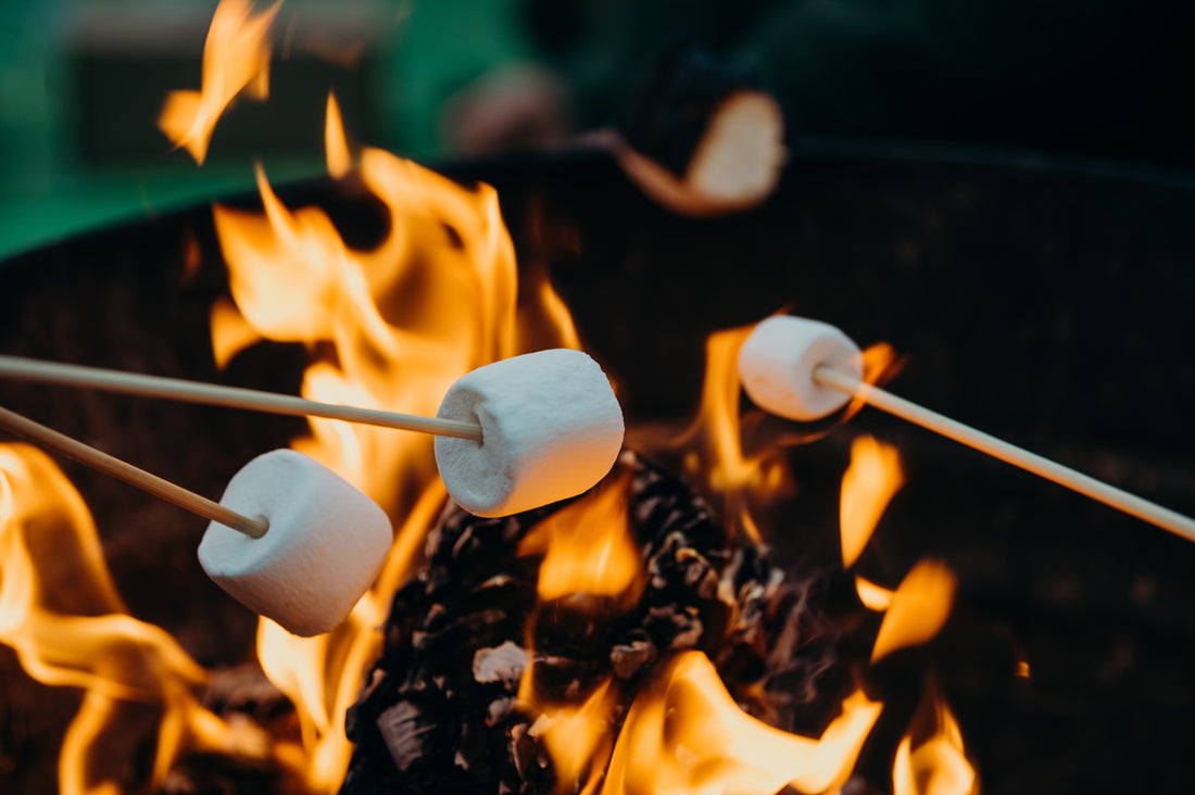 Best Ways To Build A Campfire When Camping This Year
