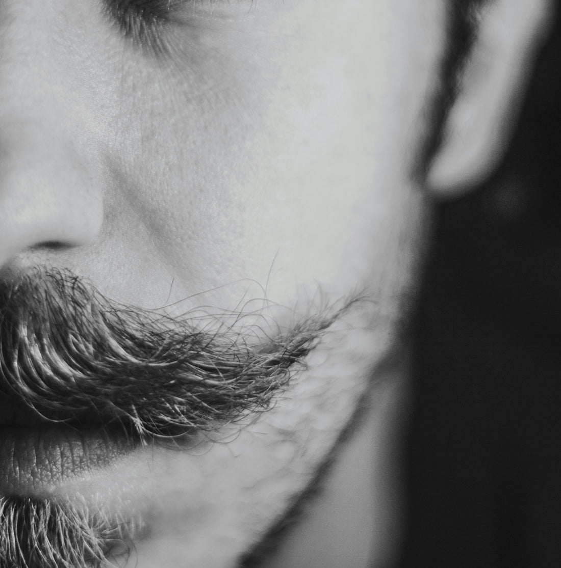 Movember